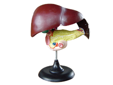 SD-093 33216ʮ֬cKģ
